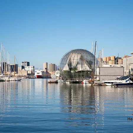 Heart Of A - De Ferrari 3min - Ac - Wifi